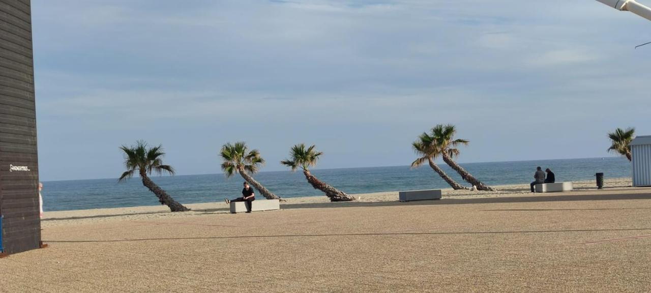 Studio de 23 M2 avec jardinet 400M de la plage Le Barcarès Extérieur photo